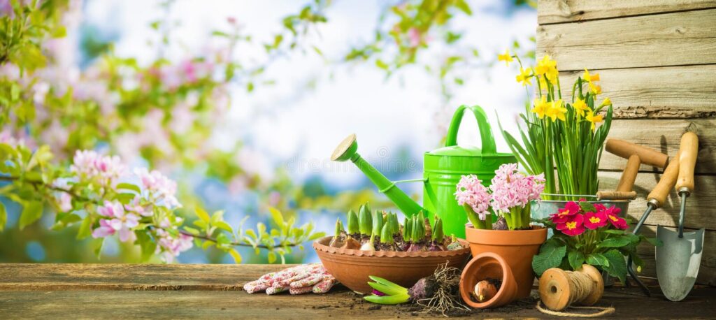 Plants and Soil Fundraisers